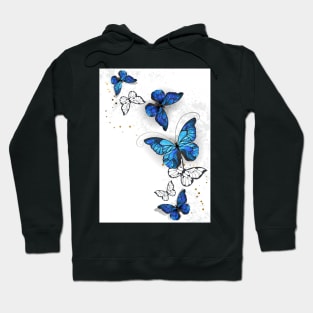 Design with Butterflies Morpho Hoodie